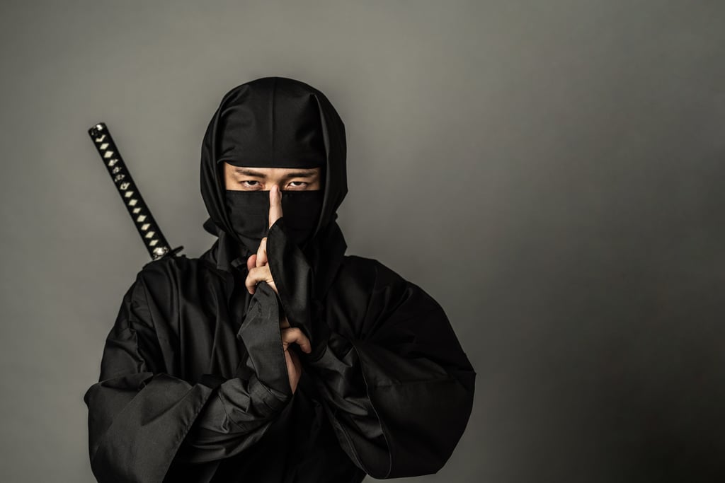 About “Ninja”