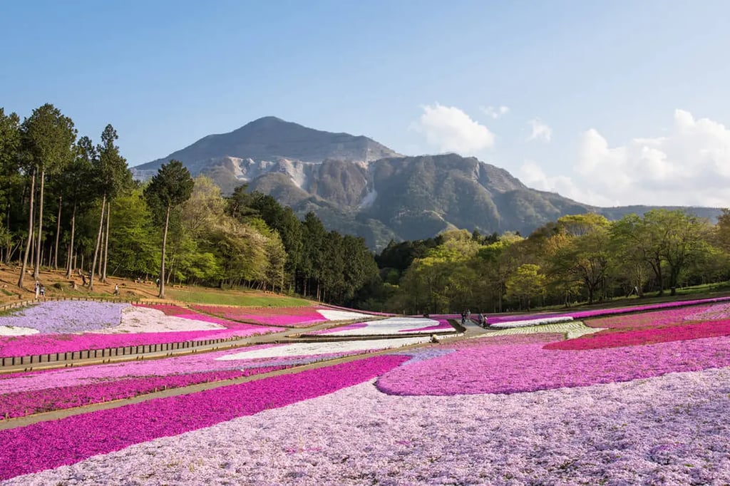 Saitama Travel: 7 classic spots you must not miss when sightseeing