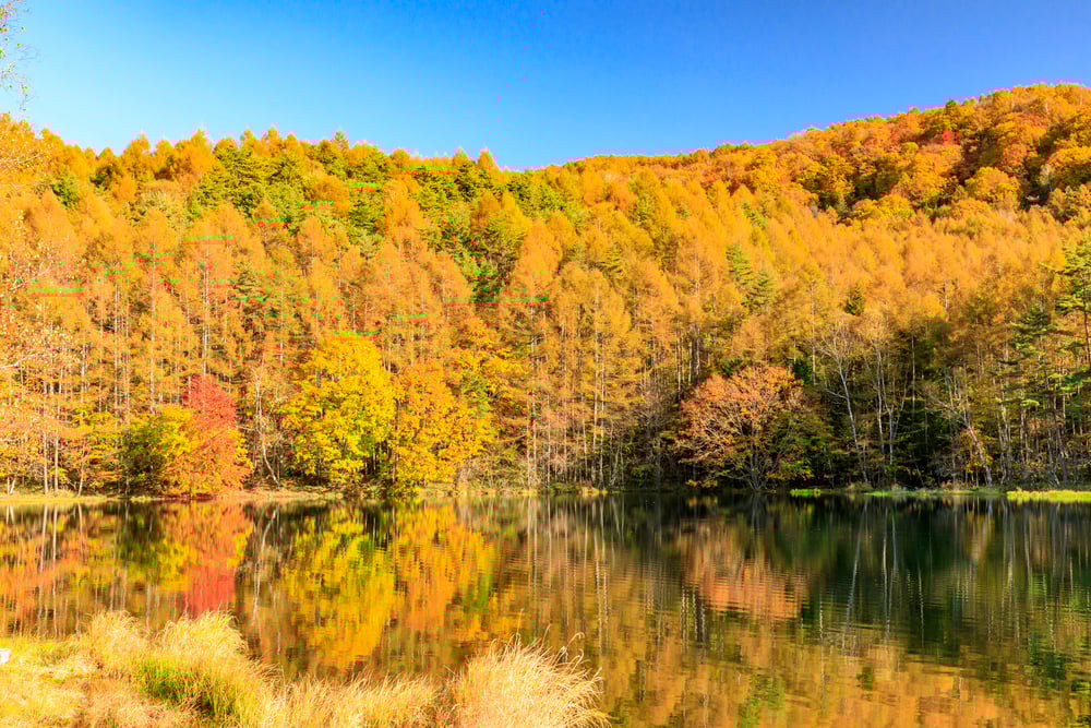 9 things to do in Nagano in October