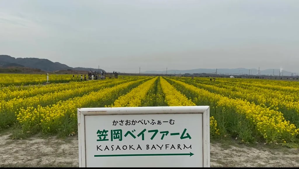 Kasaoka and Fukuyama 2 Day Itinerary