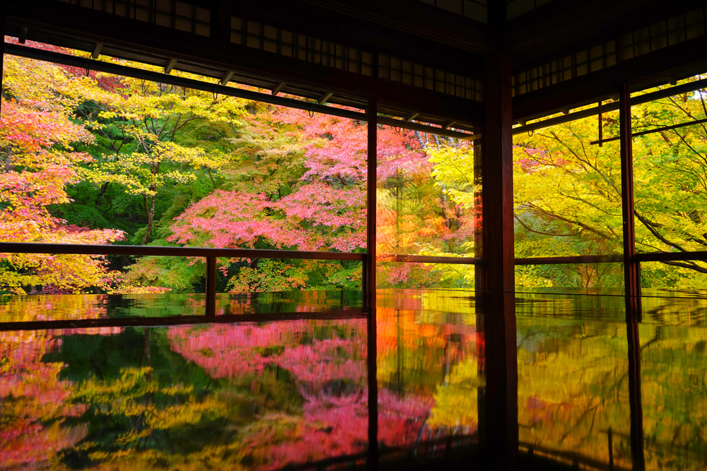 9 Best Things to Do in Kyoto in October