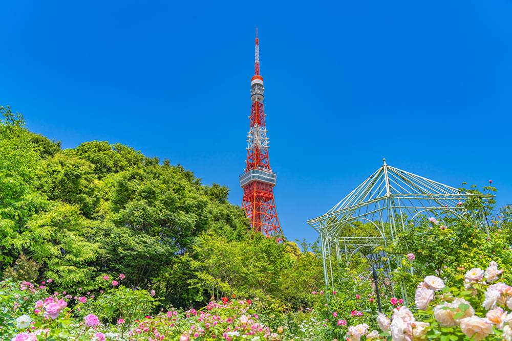 Recommended for sightseeing in Tokyo in May! Introducing events and scenery unique to this time of year!