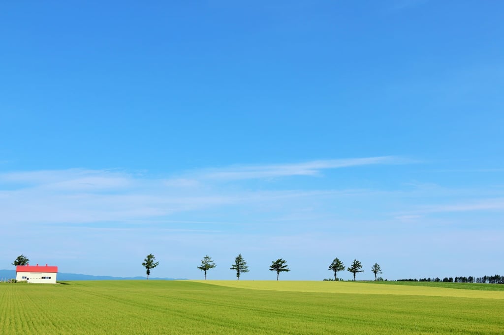 7 photo spots in Hokkaido (Sapporo / Otaru / Hakodate / Biei)