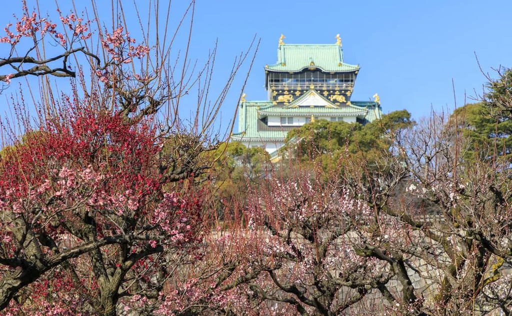 Recommended for sightseeing in Osaka in March! Introducing events and scenery unique to this time of year!