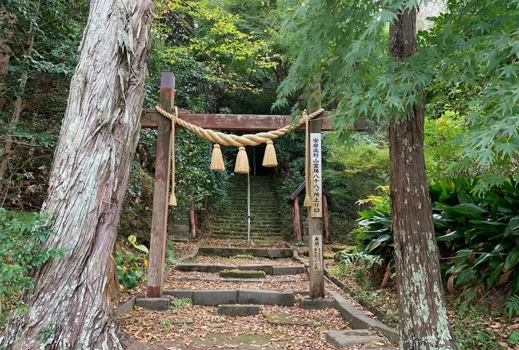 Things to Do in Tateyama: A day trip to enjoy gourmet food and sightseeing spots by cycling
