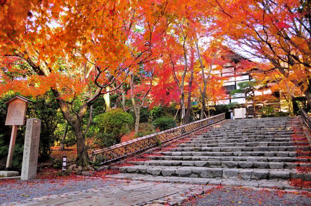 8 Best Places to Visit in Kinkaku-ji Temple, Kamigamo Jinja Shrine and Ryoan-ji Temple Area