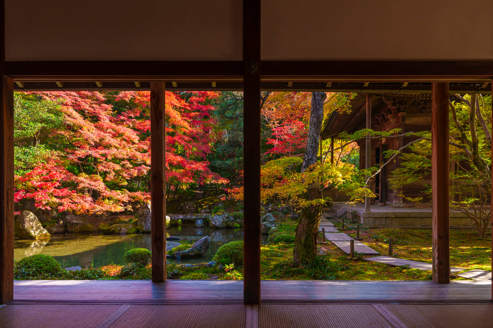 7 Best Things to Do in Kyoto in December