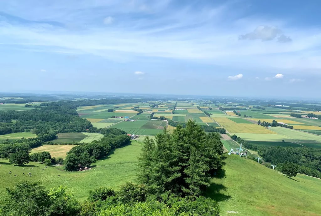 Tokachi and Obihiro 2 Day Itinerary! Part 3