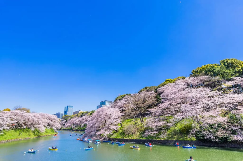 Recommended for sightseeing in Tokyo in April! Introducing events and scenery unique to this time of year!