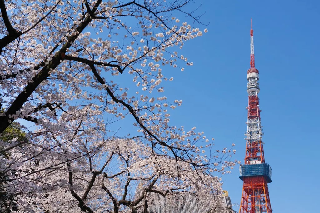 Recommended for sightseeing in Tokyo in March! Introducing events and scenery unique to this time of year!