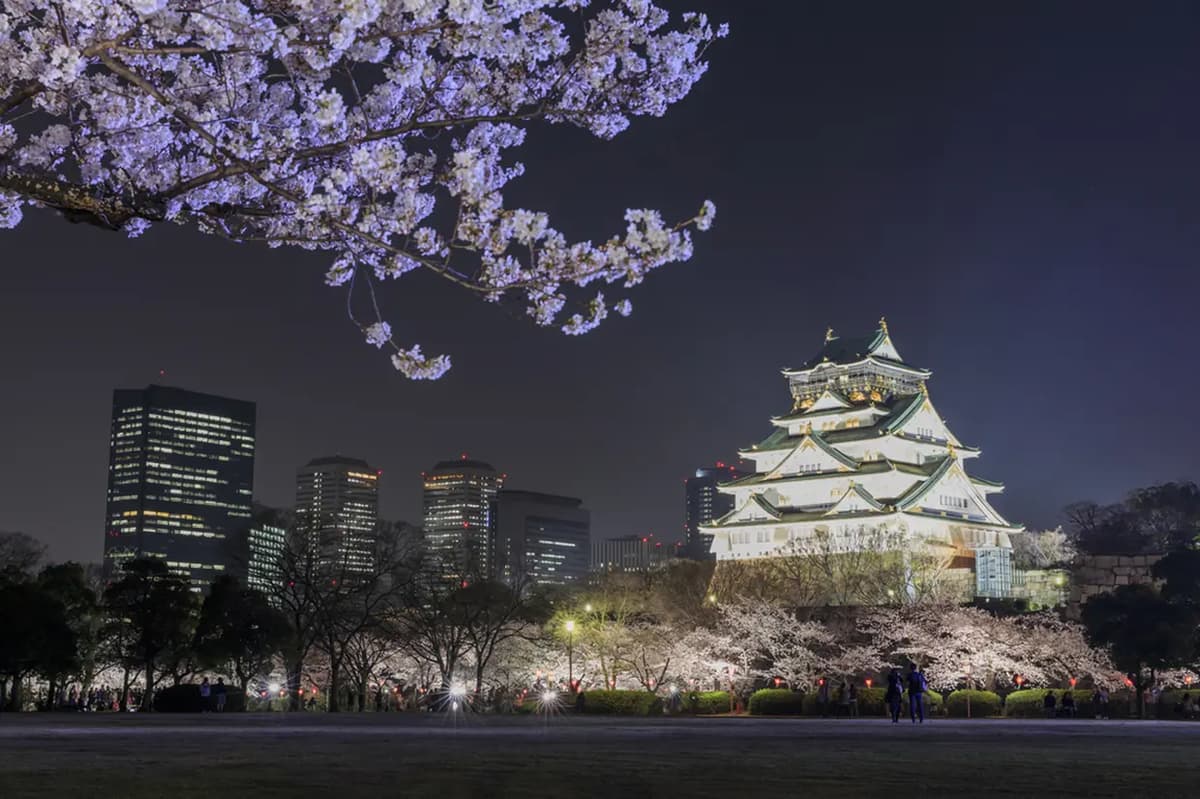 Osaka Nightlife: Bar Hopping in Tenma, Kyobashi & Osaka Castle with Local Sake and Foods - Image 4