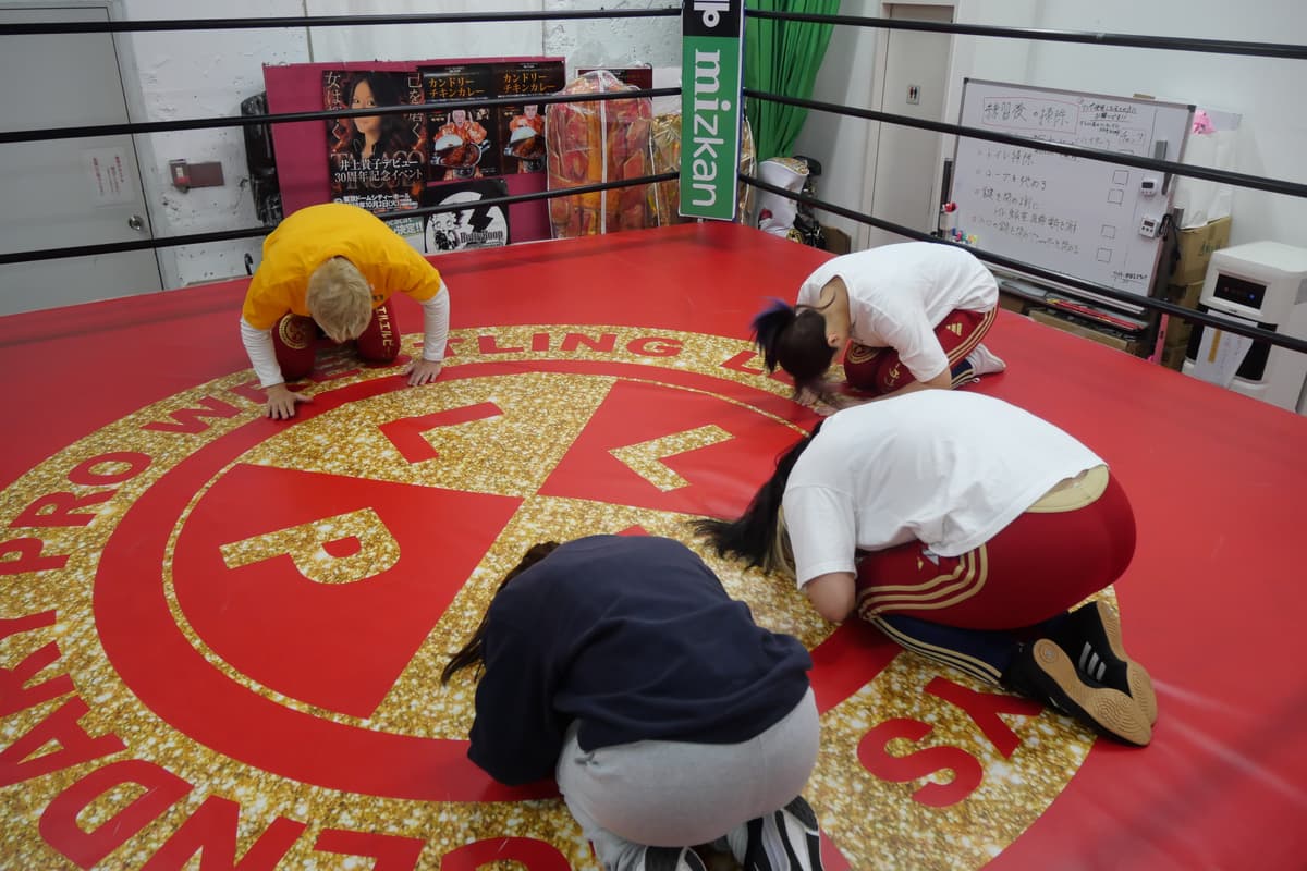 Pengalaman Gulat Profesional di LLPW-X Dojo - Image 7