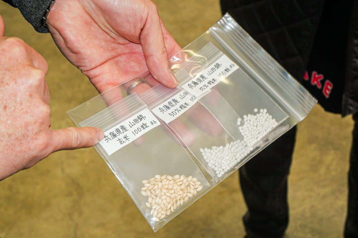 200 Years of Tradition: Premium Sake Tasting Tour at Tamura Brewery in Fussa - Image 14