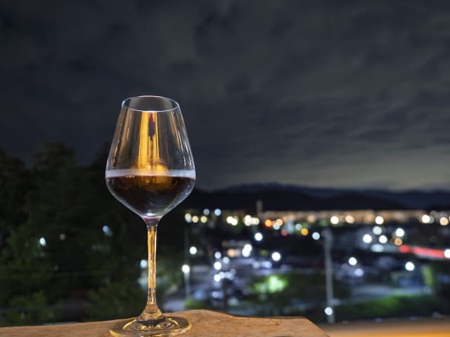 Kanagawa Prefecture Bar Hopping Night Tour - Image 5