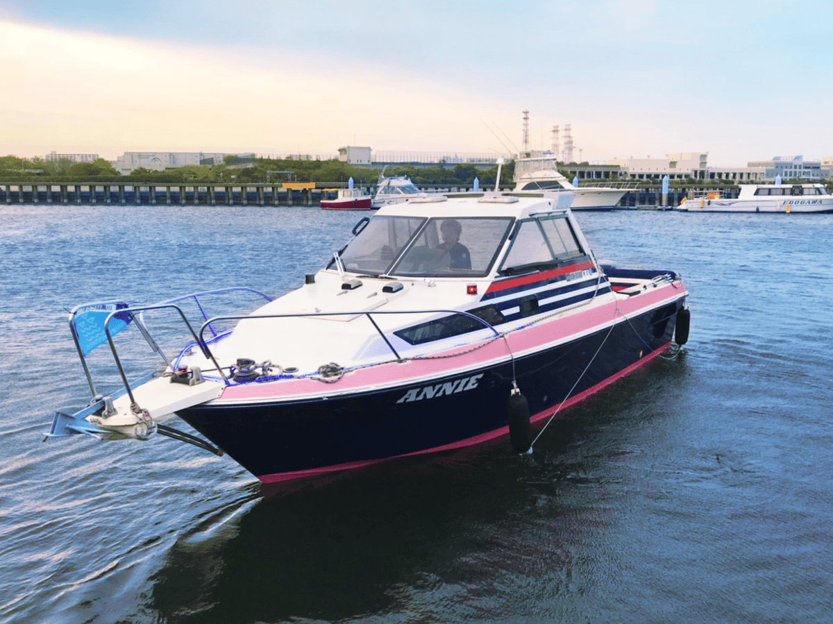 Private Cruise Tour in Tokyo Bay – Exclusive Small Group Charter with Rainbow Bridge Views - Image 2