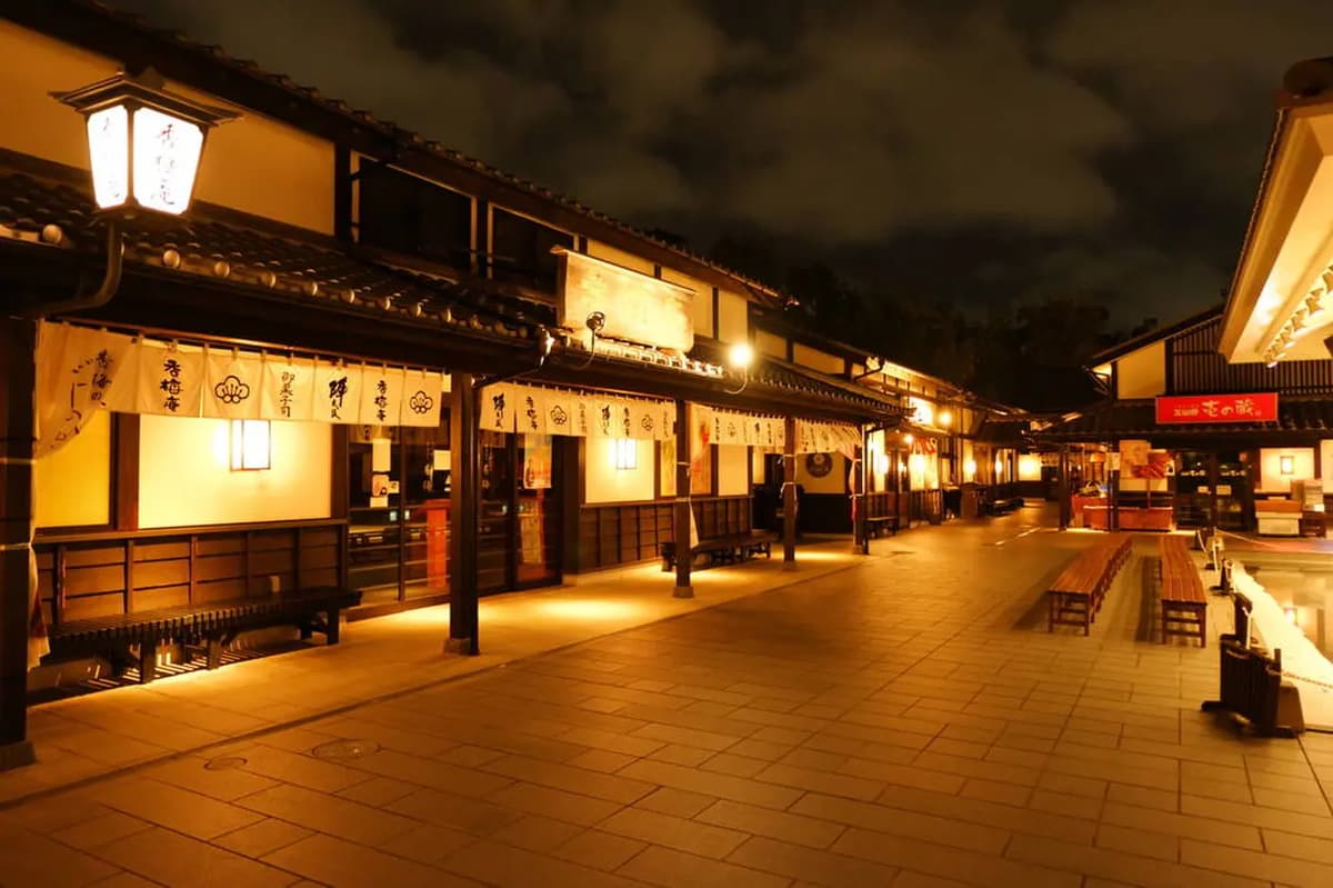 Kumamoto Prefecture Bar Hopping Night Tour - Image 6