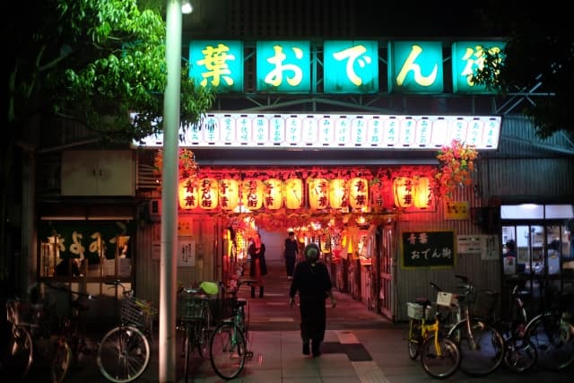 Shizuoka Prefecture Bar Hopping Night Tour - Image 1