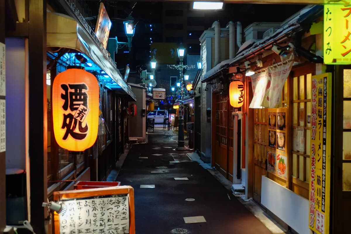 Hakodate Bar Hopping Night Tour in Daimon Yokocho - Image 1