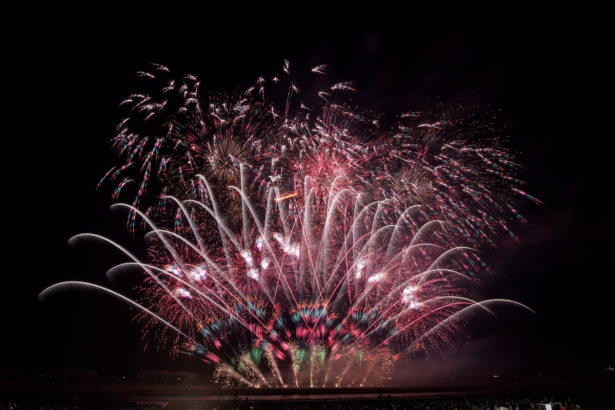 Omagari Fireworks - Spring Chapter - Viewing Ticket + English Guide - Image 4