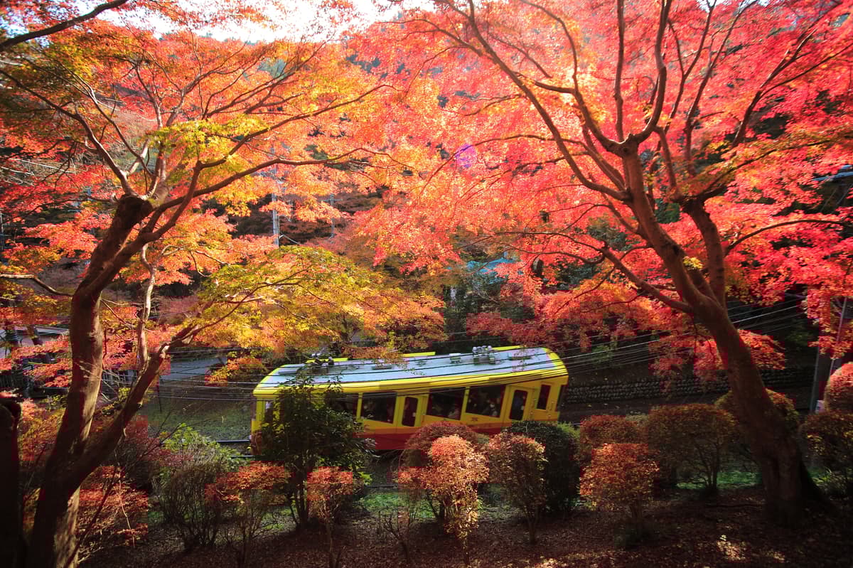 Tokyo Takao Mountain Hiking & Onsen Tour - Image 5