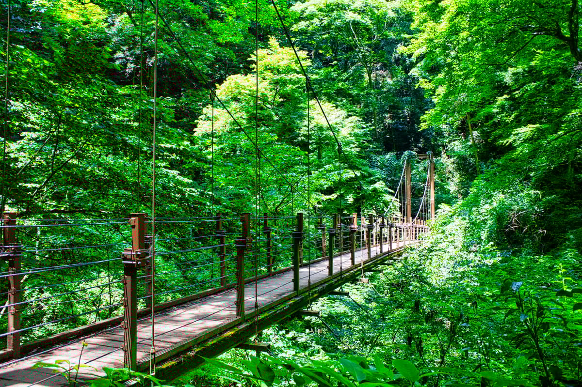 Tokyo Takao Mountain Hiking & Onsen Tour - Image 4