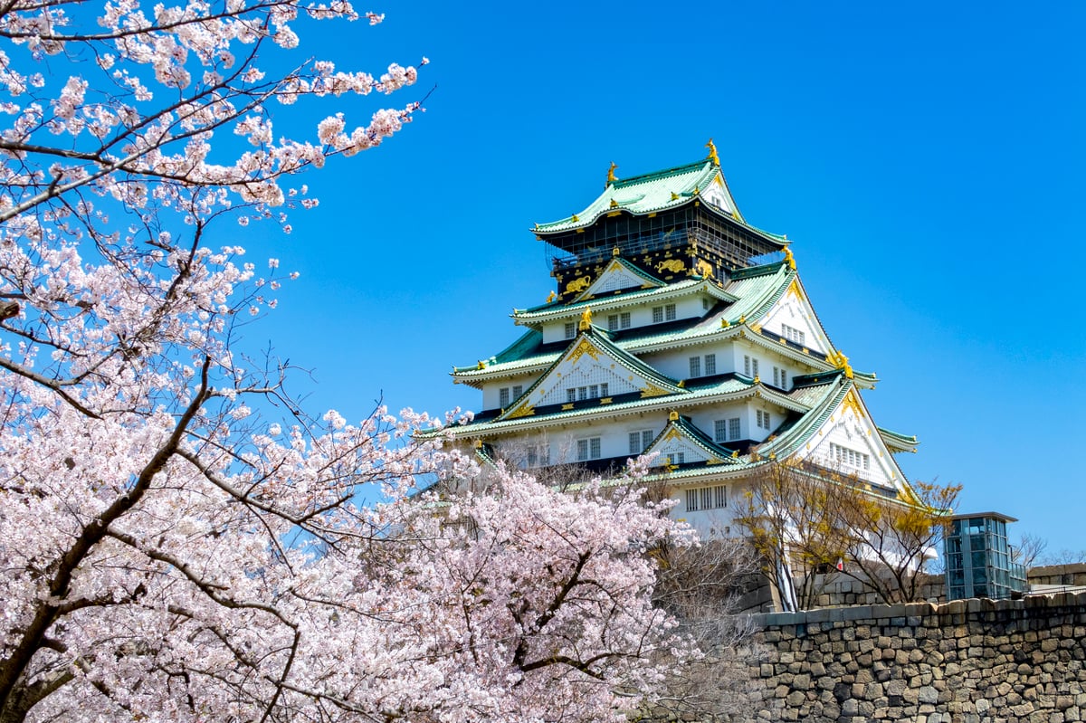 Osaka Castle Ticket - Image 1