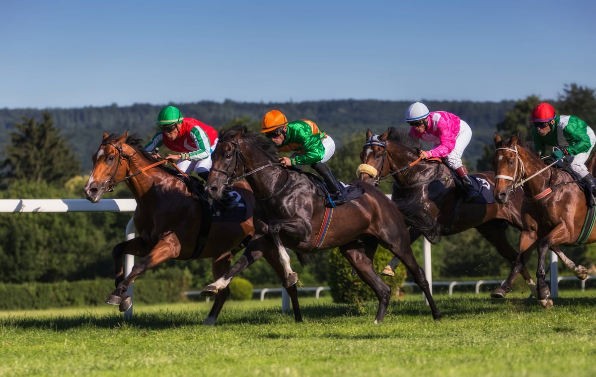 Japanese Horse Racing Tour with Guide - Image 1