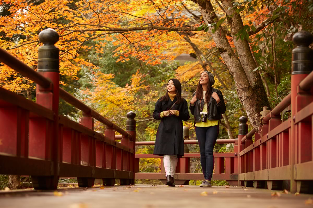 Personalized Kyoto Tour with Local Guide - Image 6