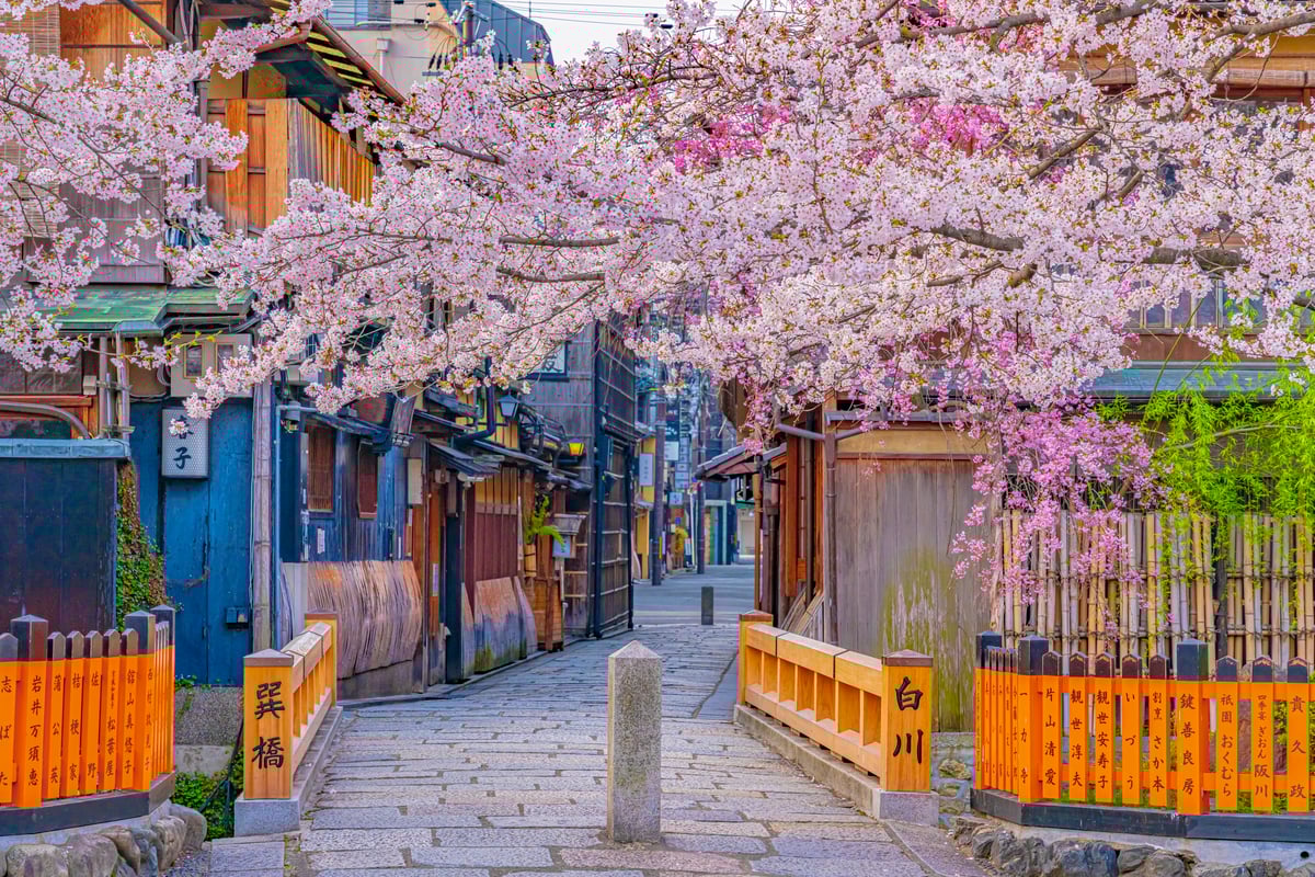 1 Hour Private Photoshoot in Gion - Image 2