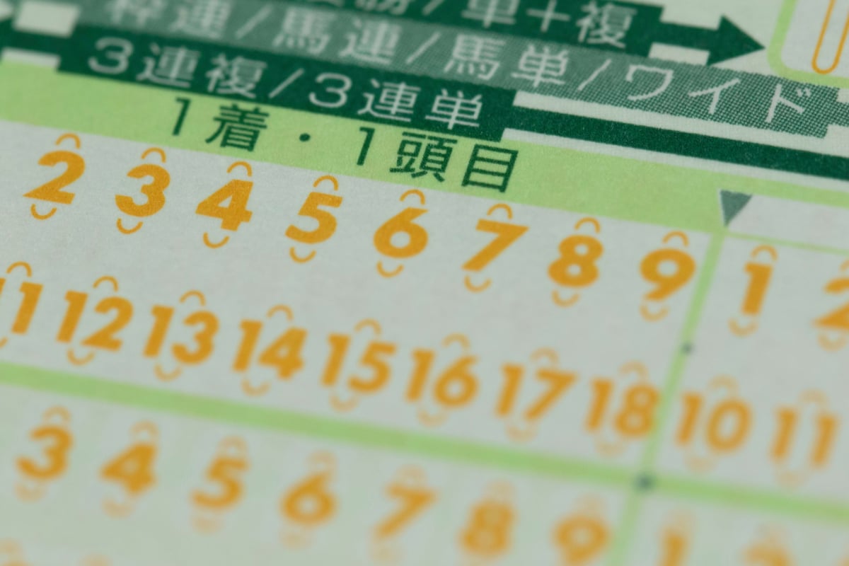 Japanese Horse Racing Tour with Guide - Image 3