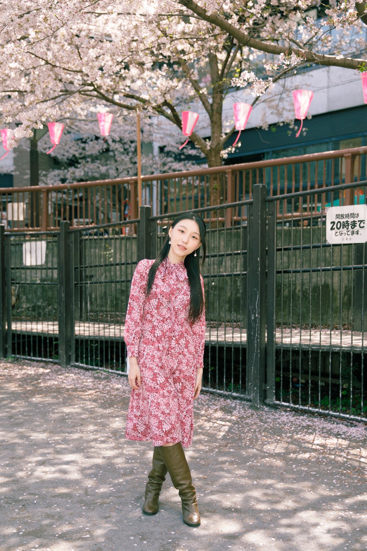 1 Hour Private Photoshoot in Nakameguro - Image 5