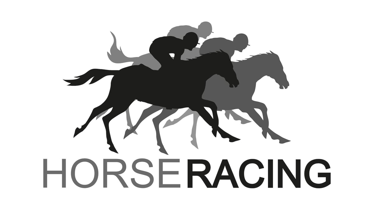 Japanese Horse Racing Tour with Guide - Image 5