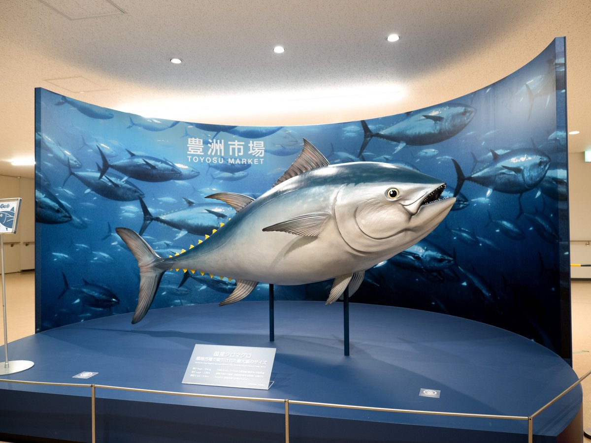 Toyosu&Tsukiji Market:Tuna Auction&Food - Image 9