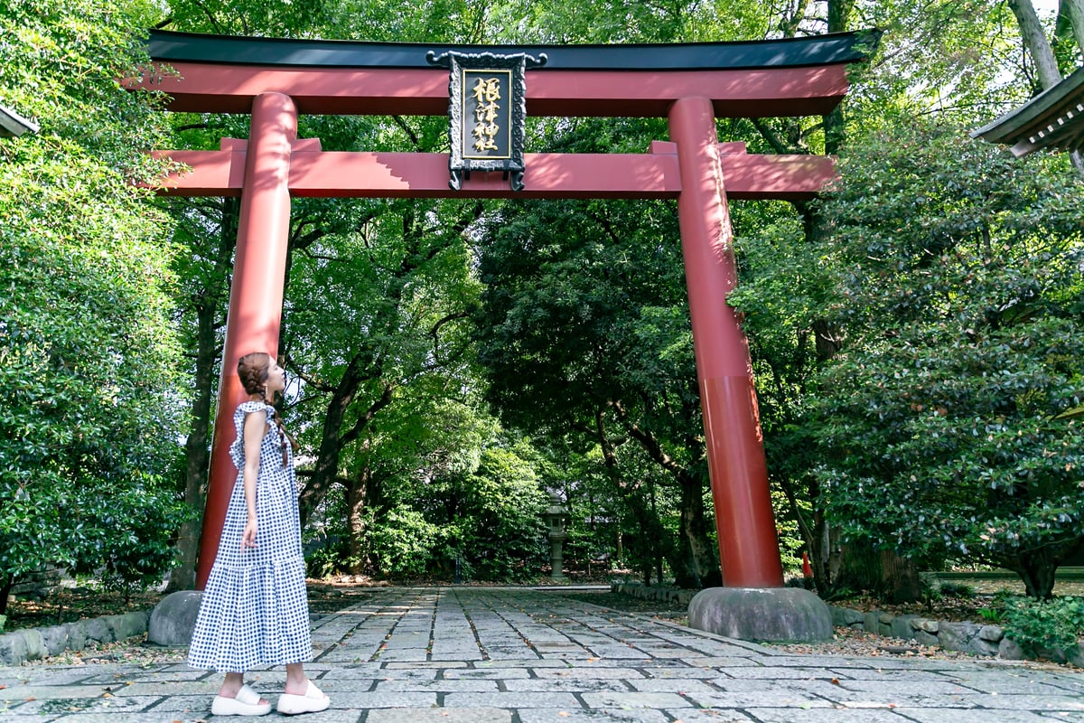 Private Walking Tour in Yanesen, Tokyo - Image 5
