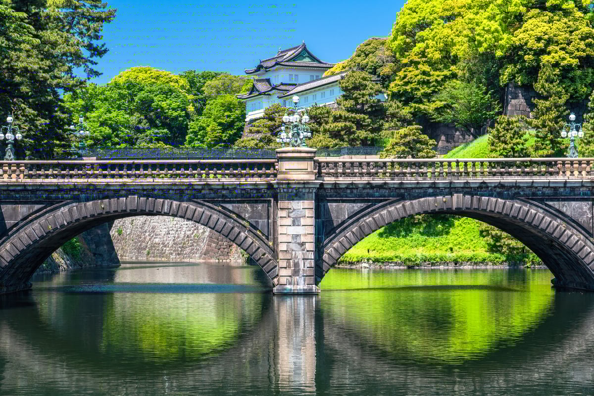 Tokyo Imperial Palace & Edo Castle Tour - Image 3