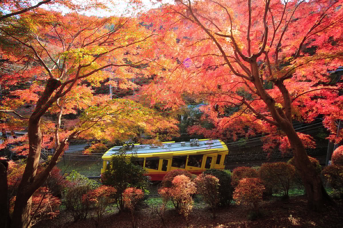 Tokyo Takao Mountain Hiking & Onsen Tour - Image 5