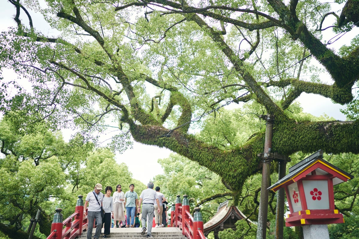 Fukuoka Dazaifu & Yanagawa Tour - Image 1