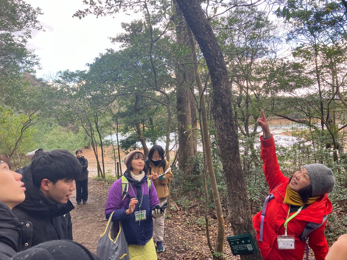 Forest Therapy &Mandala Meal in Sasaguri - Image 3