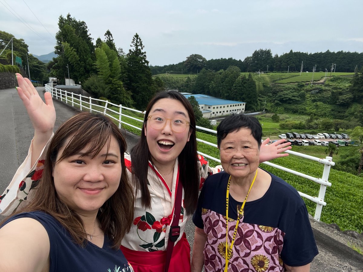Shizuoka Tea Picking Private Experience - Image 5