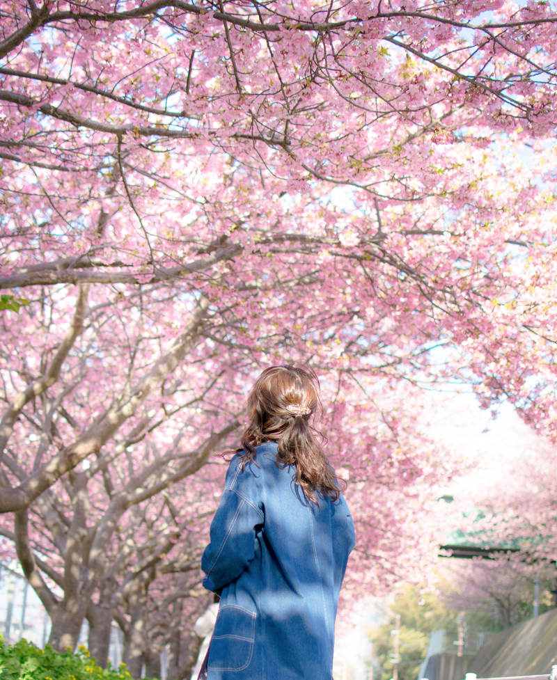 1 Hour Private Photoshoot in Kyoto - Image 1
