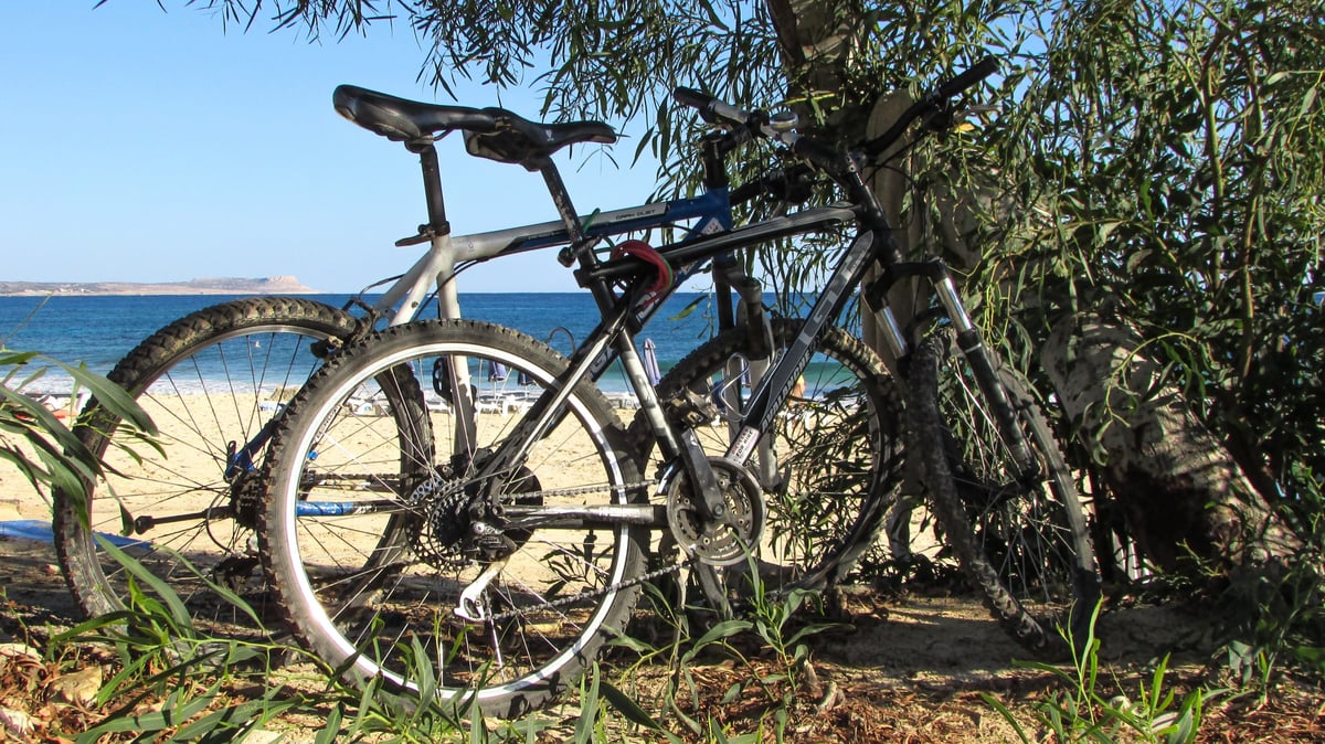 Shikanoshima Oceanfront Bicycle Tour - Image 7