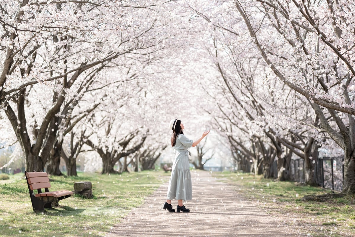 1 Hour Private Photoshoot in Matsumoto - Image 5
