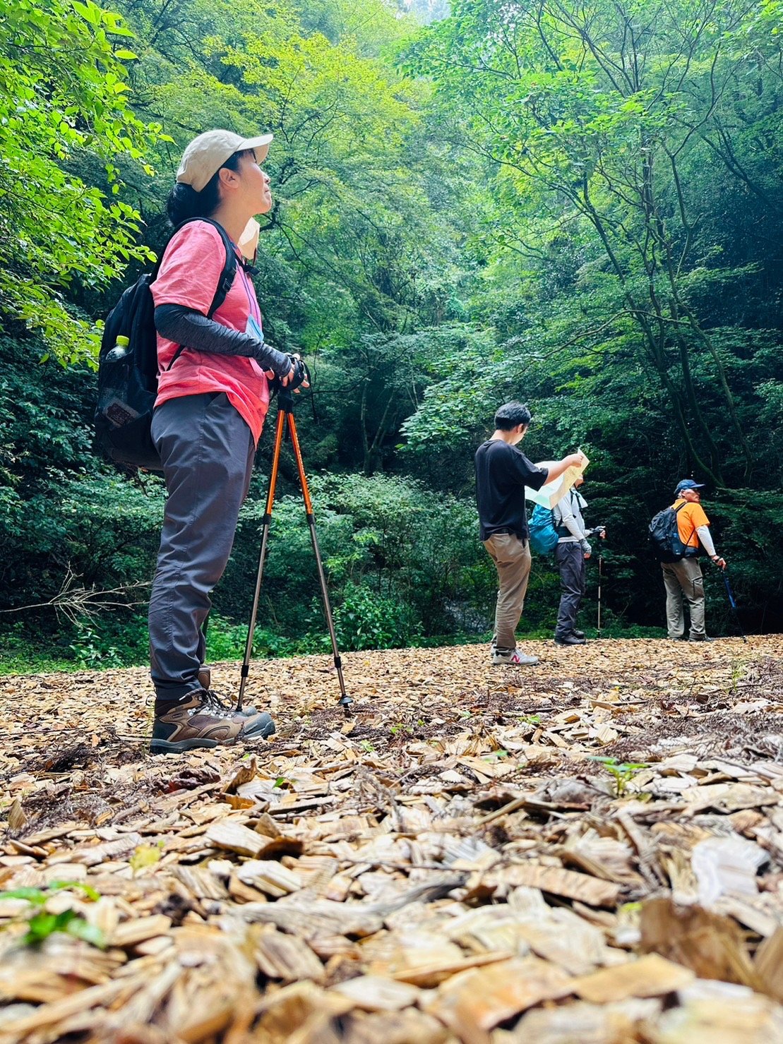 Forest Therapy &Mandala Meal in Sasaguri - Image 1