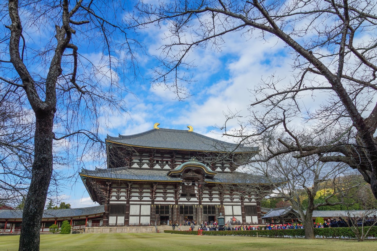 Nara Todaiji Temple Guided Walking Tour - Image 4