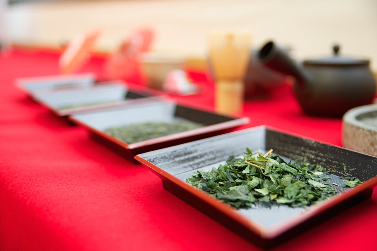 Nara Small Group Tea Discovery Tour - Image 3