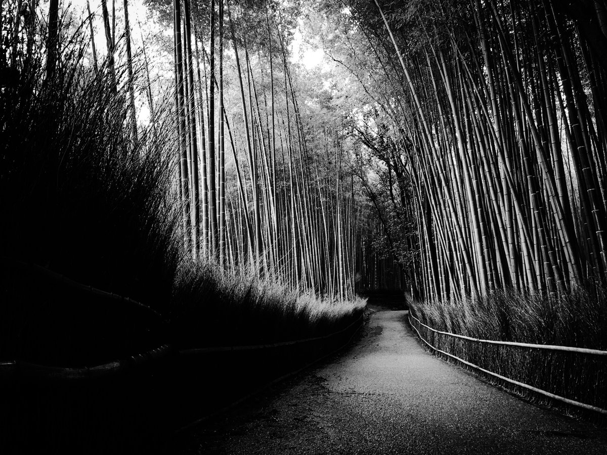 Kyoto Ghost Tour: Bamboo Forest Nights - Image 1