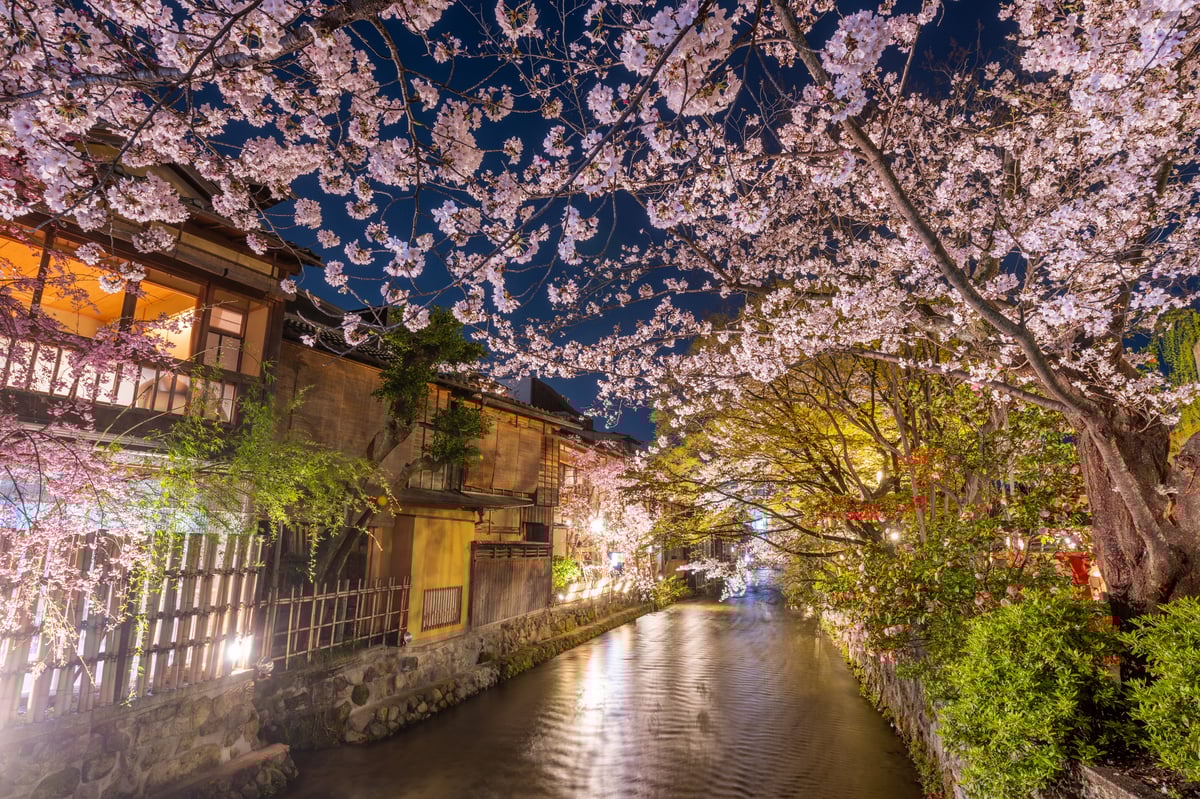 Kyoto Night Eats & Streets Gion & Beyond - Image 3