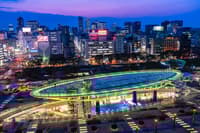 Tour Nocturno de Bares en Nagoya - Thumbnail 1