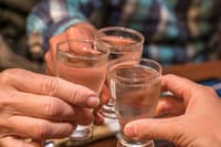 Shizuoka Prefecture Bar Hopping Night Tour - Thumbnail 4