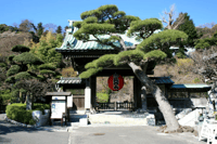 Private Kamakura & Enoden Tour: Great Buddha, Temples & Coastal Views - Thumbnail 6